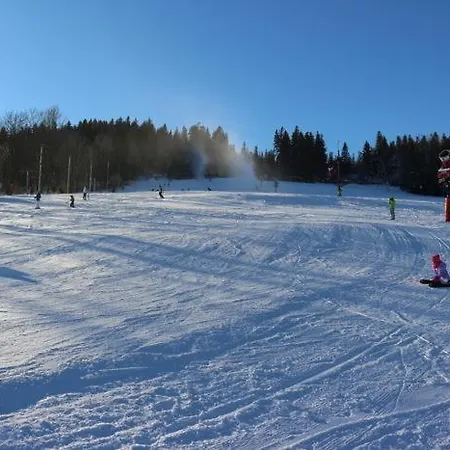 Appartement 4seasons Z Prywatna Sauna I Kominkiem Karpacz