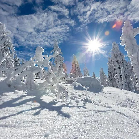 4seasons Z Prywatna Sauna I Kominkiem Appartement