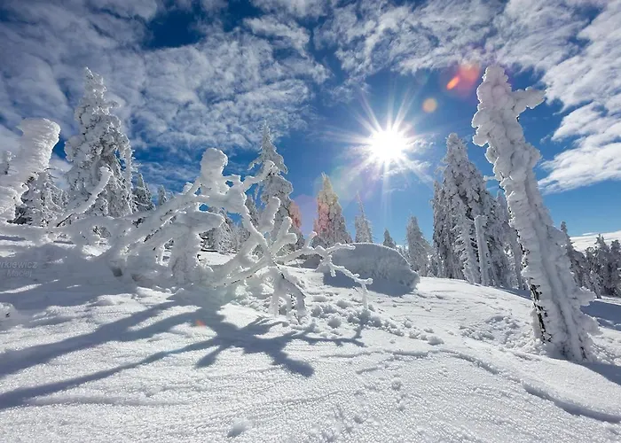 4seasons Z Prywatna Sauna I Kominkiem Lejlighed